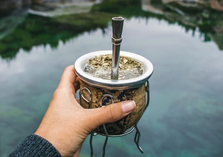 Yerba Mate: Minuman Energi Tradisional Amerika Selatan yang Kaya Manfaat
